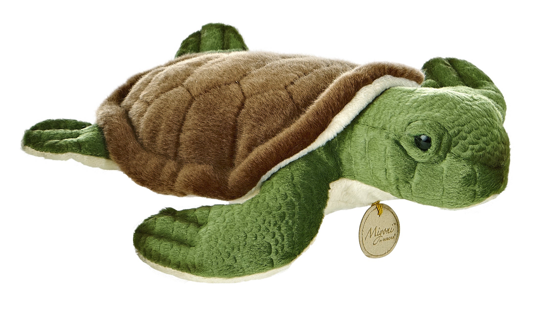 Aurora Sea Turtle