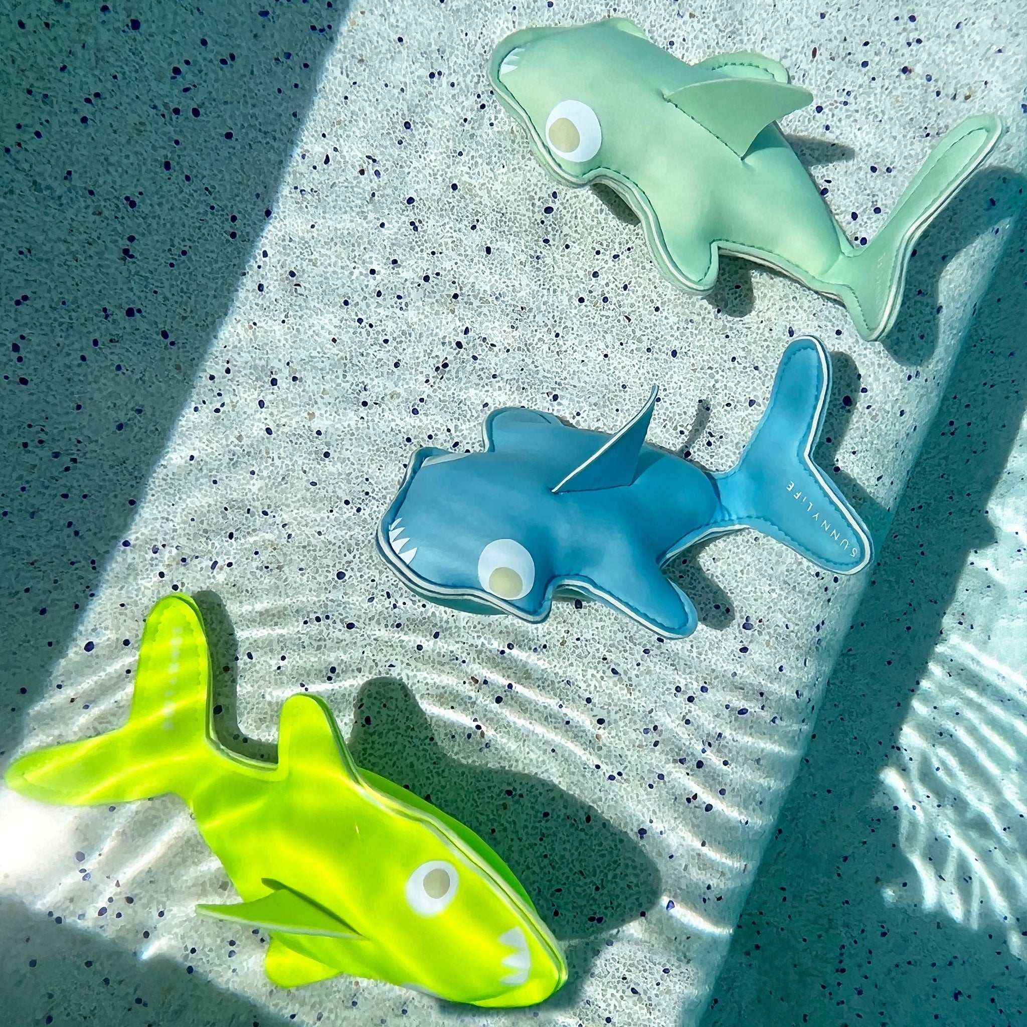 Sunny Life Dive Buddies