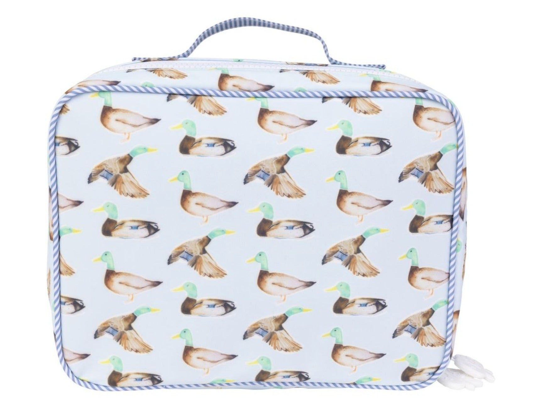 Apple of my Isla Lunch Box