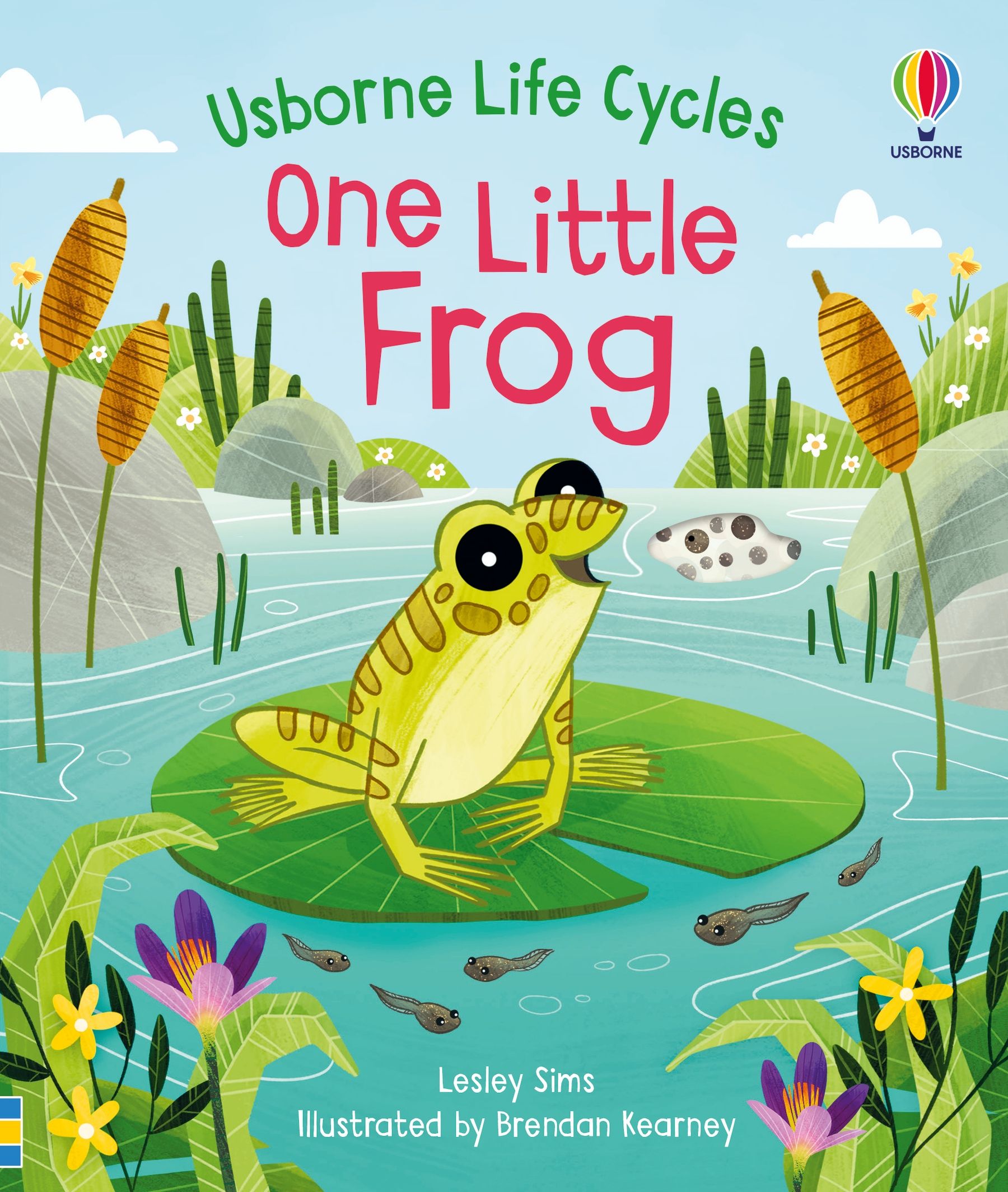 Usborne Life Cycles