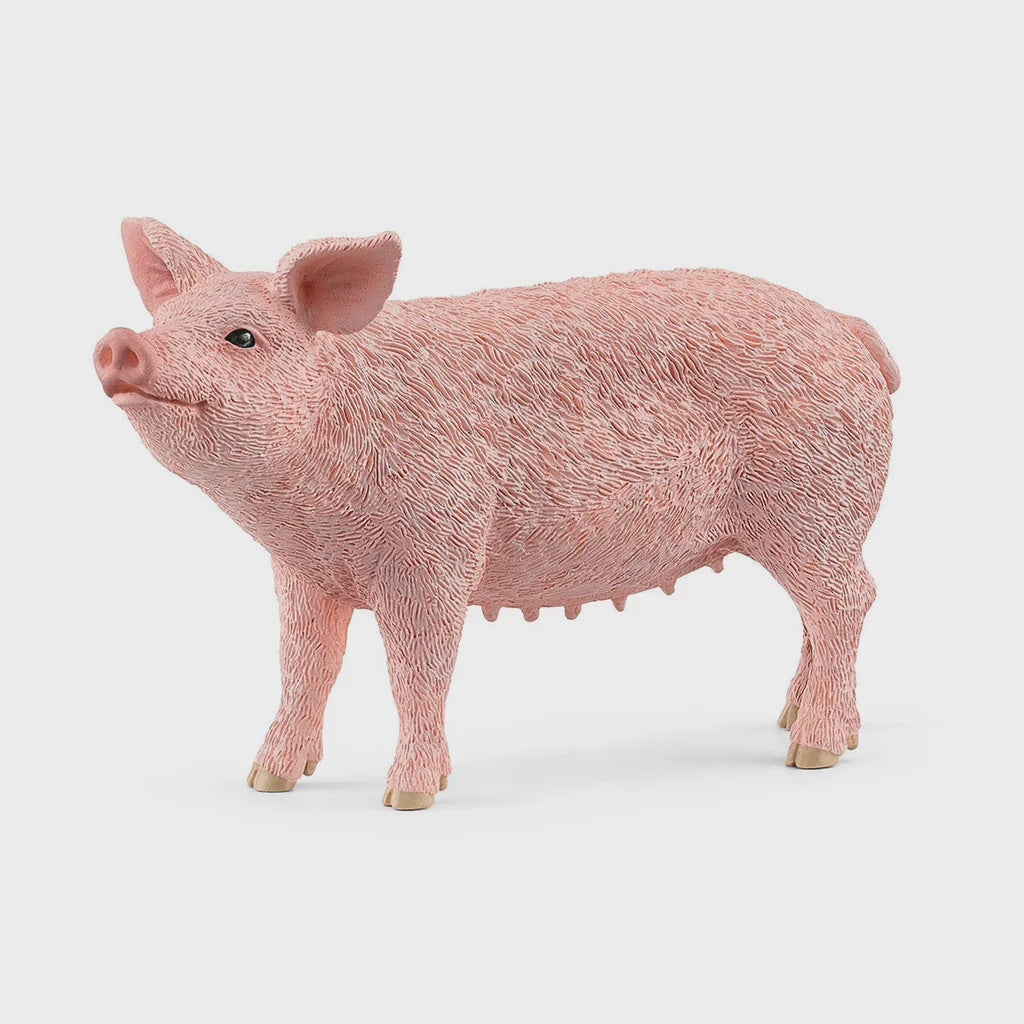 Schleich piglet