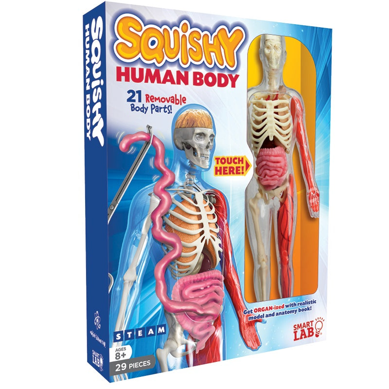 EDC Smart Lab Squishy Human Body