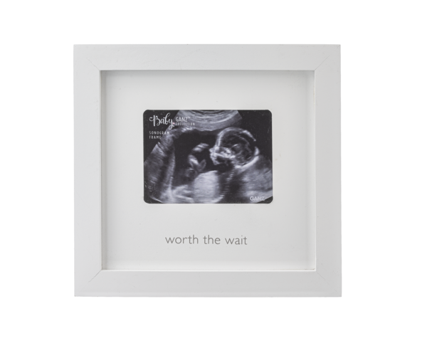 Ganz Sonogram Frame
