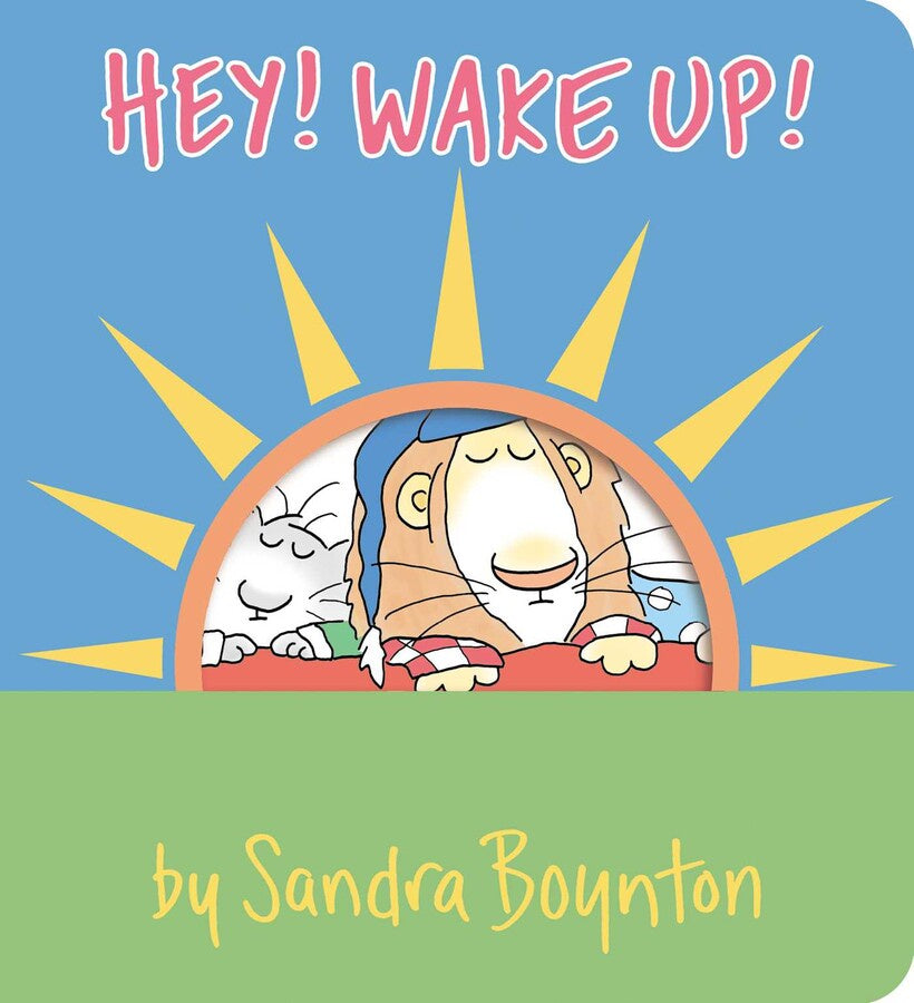 Simon & Schuster Hey Wake Up !