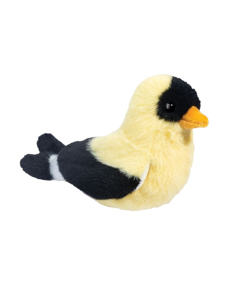 Douglas Faye Yellow Finch