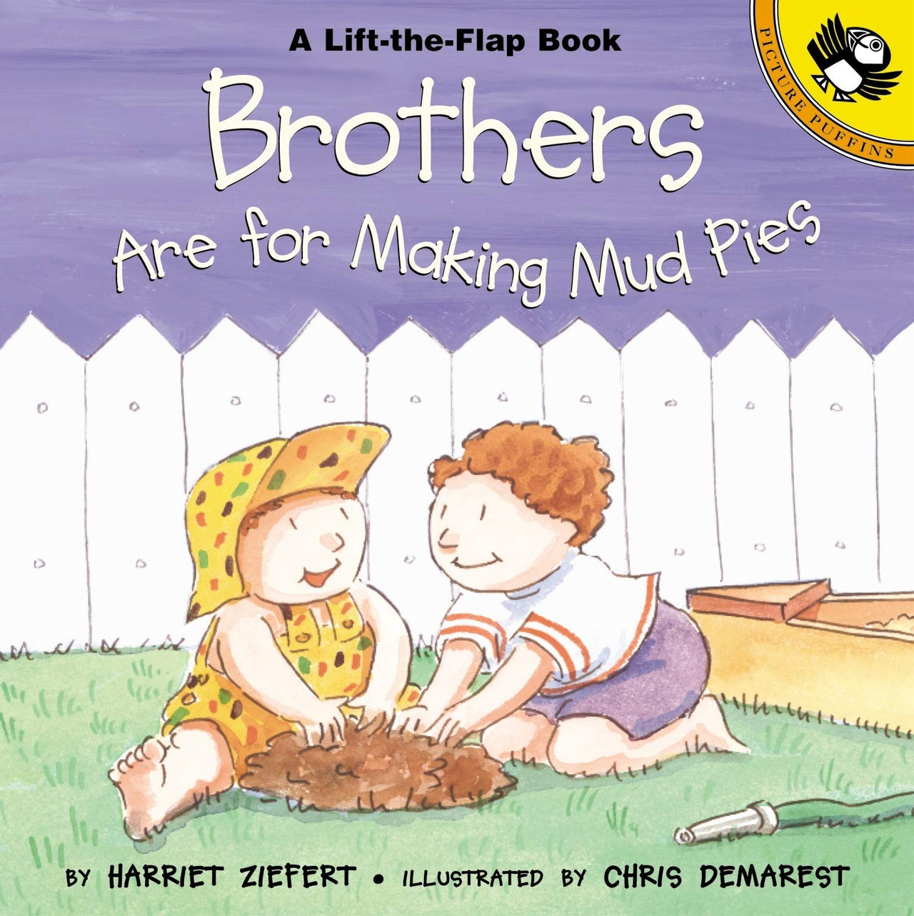 Brother are for Making Mud Pies