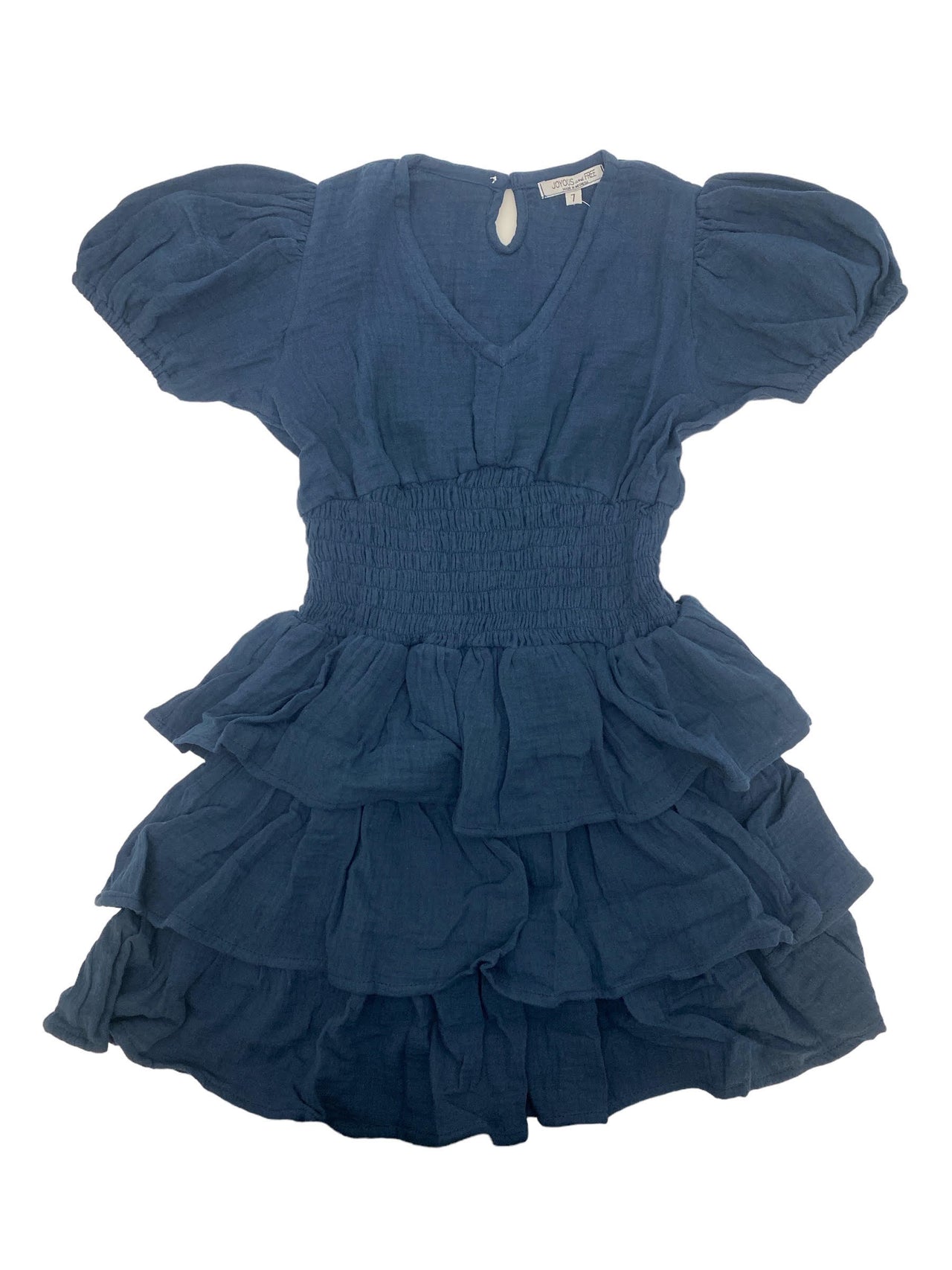 Joyous and Free Gratitude Dress Navy 64G86J24 5108