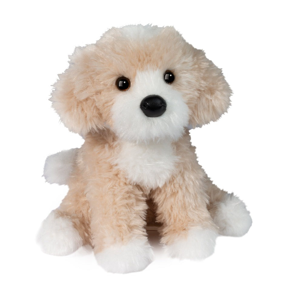 Douglas Darcy Golden Doodle