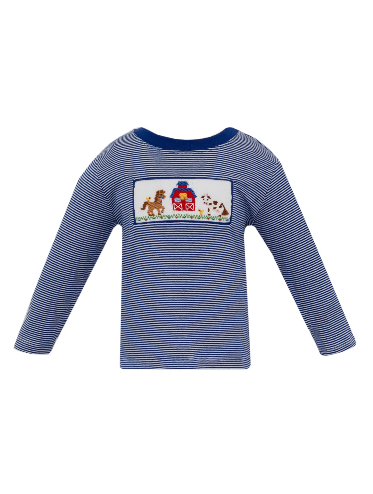 Anavini Farm Navy Blue Knit Stripe Boy's T-shirt L/S 303P-AF24 5107