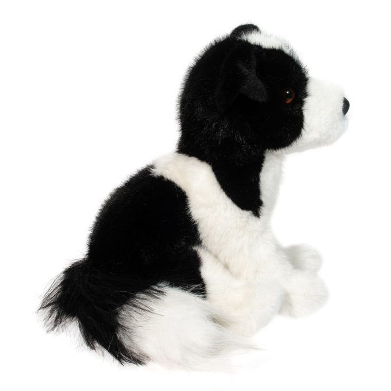 Douglas Herdie Border Collie
