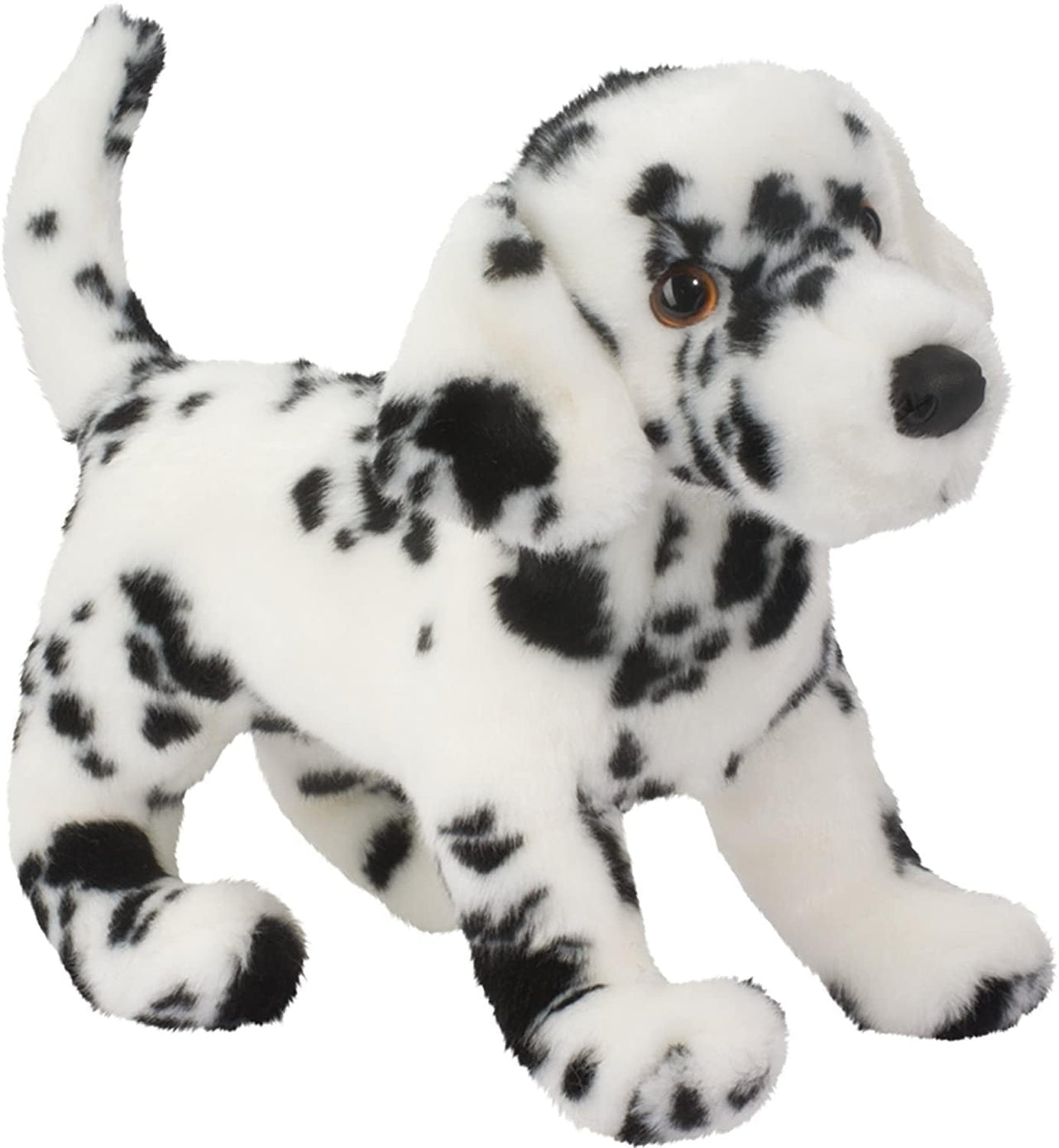 Douglas  Winston Dalmation