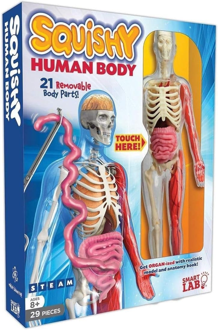 EDC Smart Lab Squishy Human Body