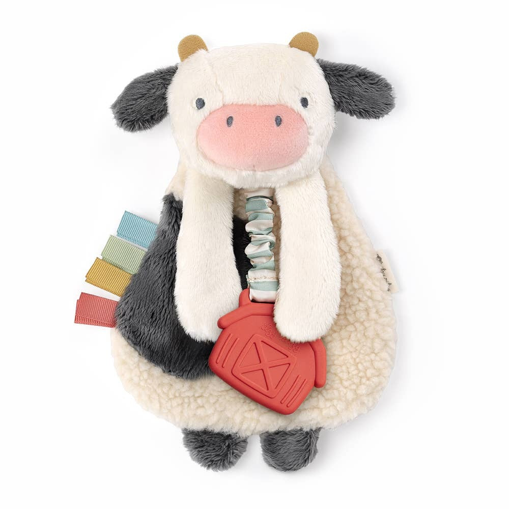 Itzy Ritzy Lovey Plush and Teether Toy