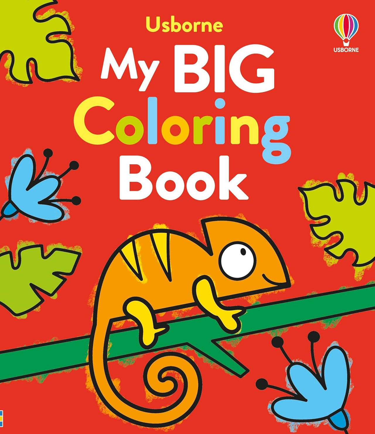 Usborne Coloring Book