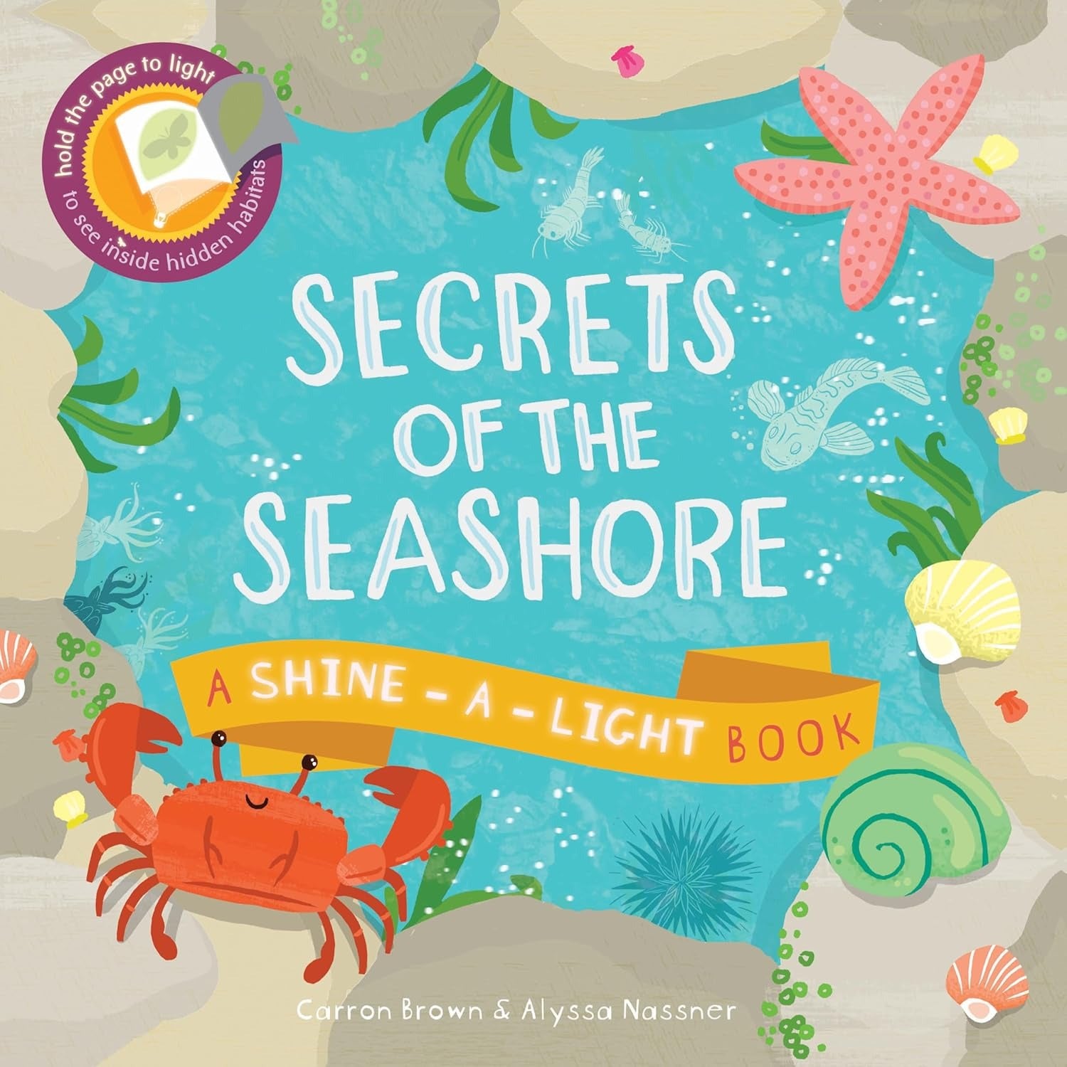 EDC Secrets of the Seashore (Shine a Light)