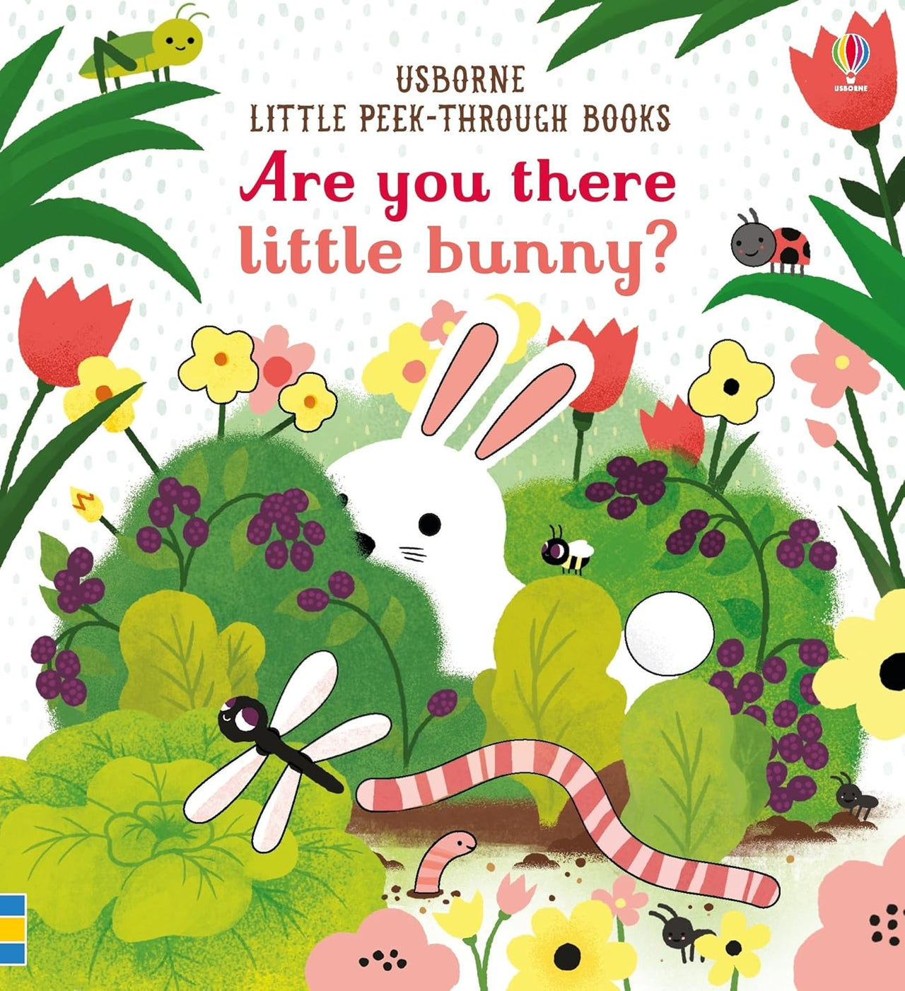 Usborne Are you there little bunny ?