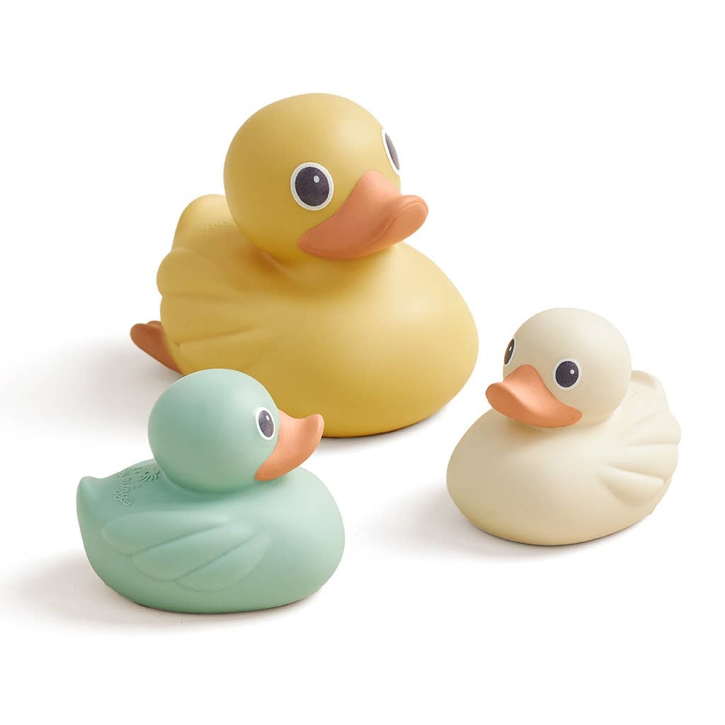 Itzy Ritzy Ducky Family