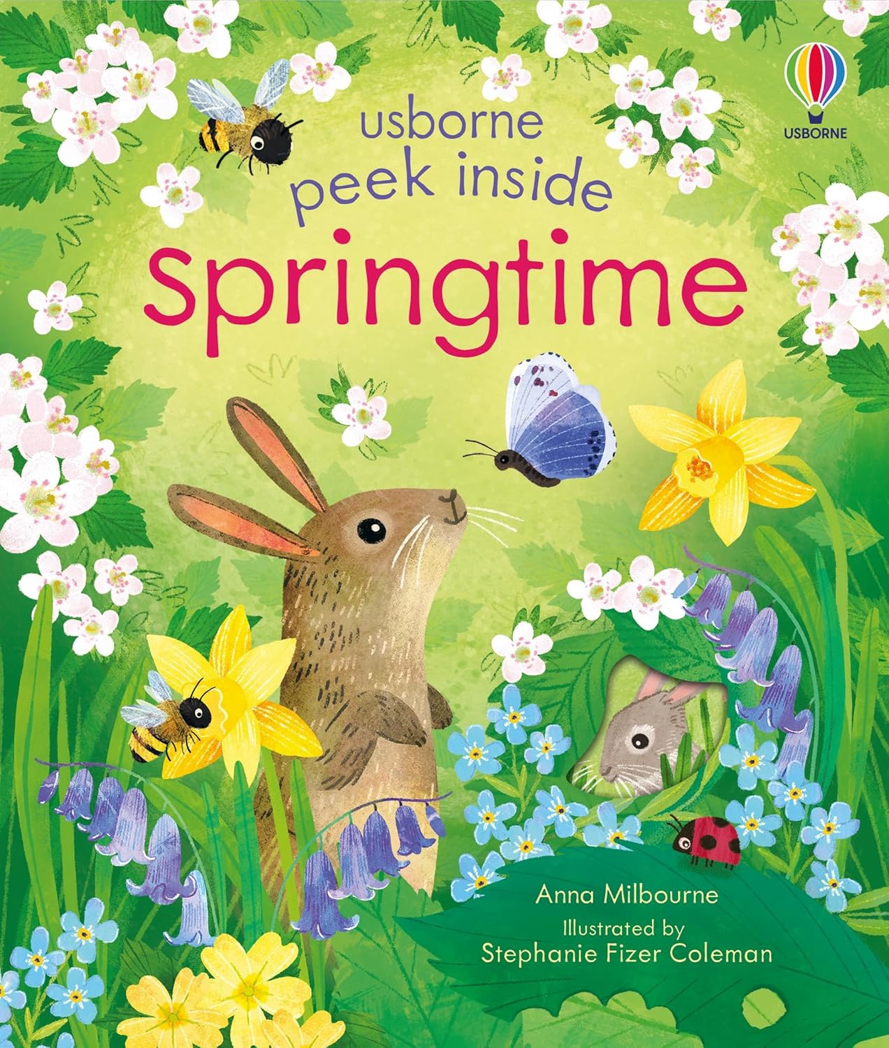 Usborne Peek Inside...