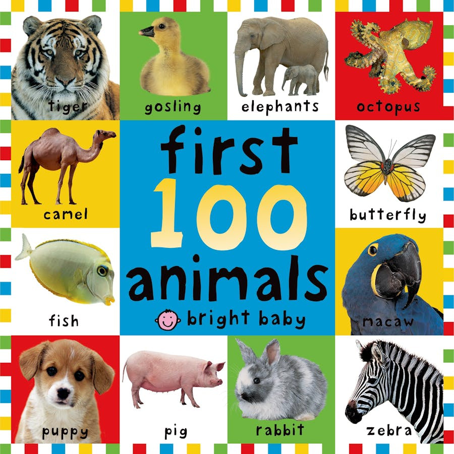 Macmillan First 100 Animals