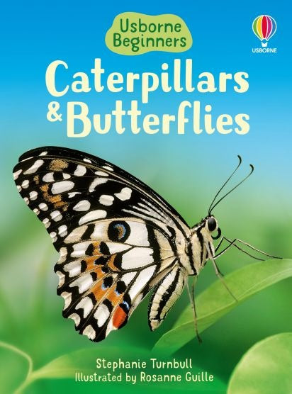 Usborne Caterpillars & Butterflies