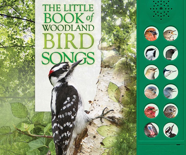 Firefly The little book of sounds