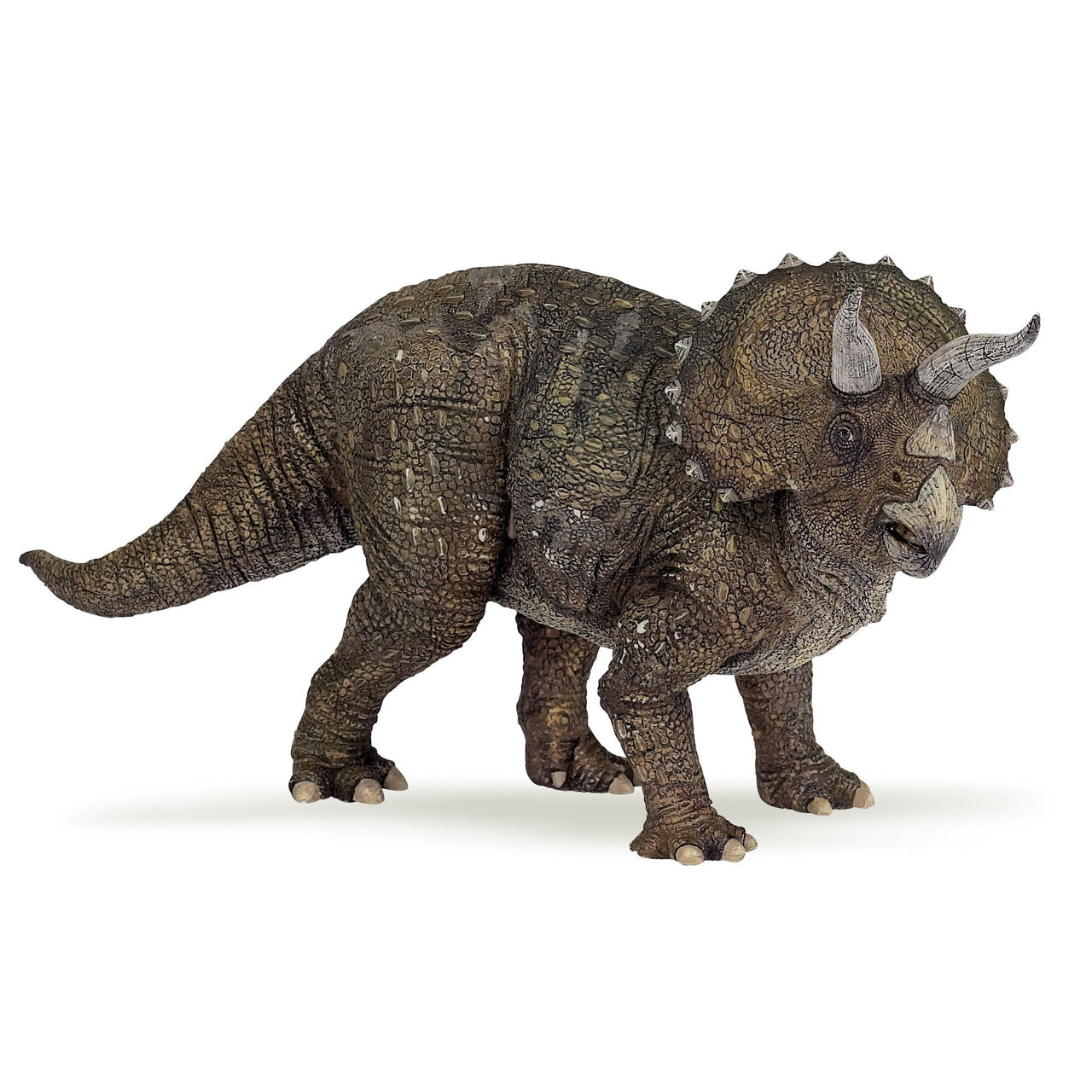 Hotaling Papo triceratops