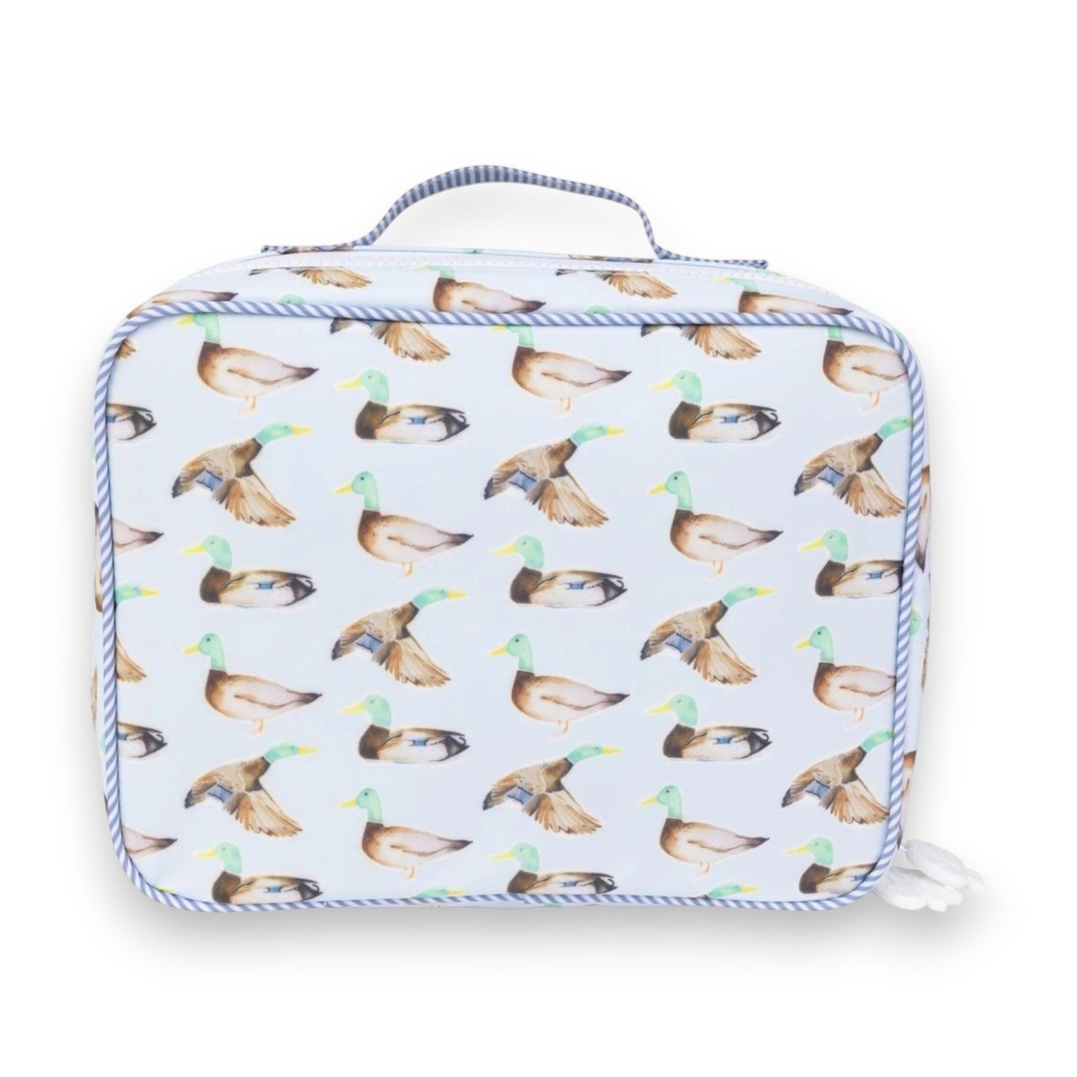Apple of my Isla Lunch Box