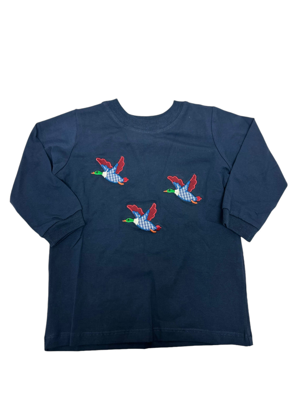 Remember Nguyen Green Houston Shirt, Little Critters