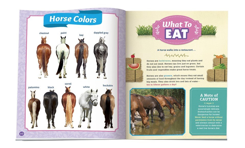 Klutz Wild About Horses