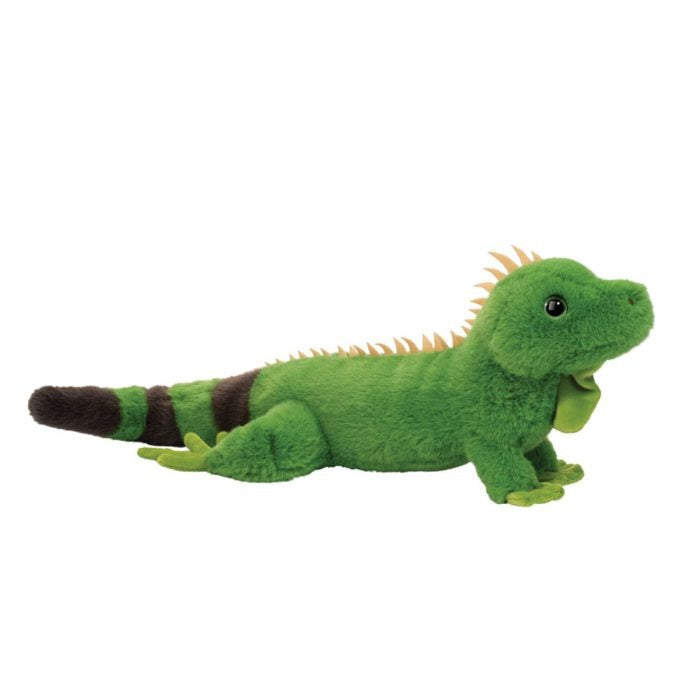 Douglas Buddy Iguana