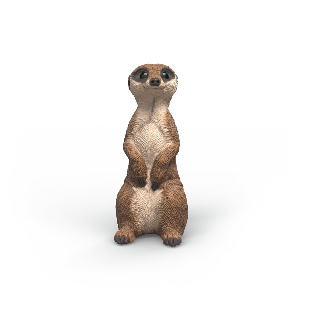 Schleich meerkat