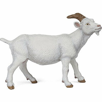 Hotaling Papo Nanny goat