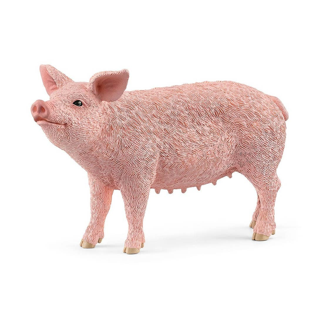 Schleich pig