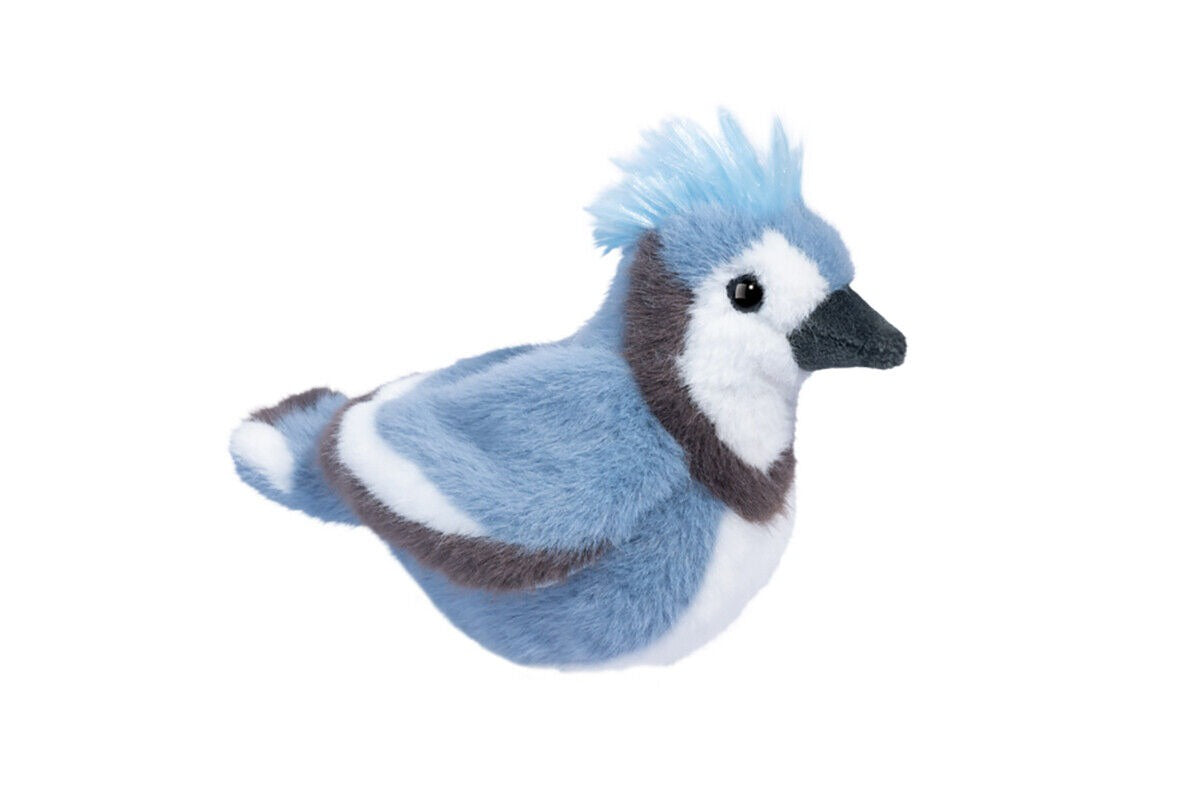 Douglas Denim Blue Jay