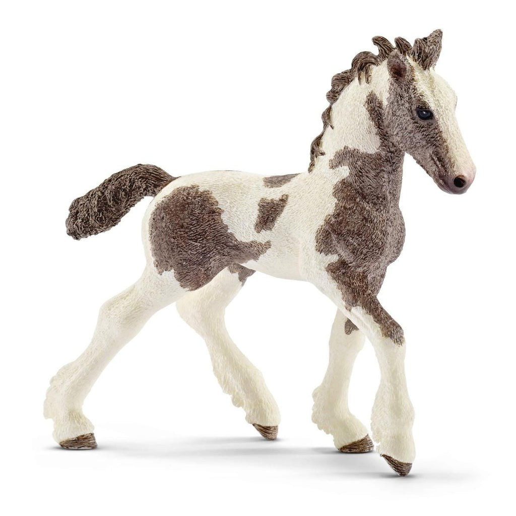Schleich tinker foal