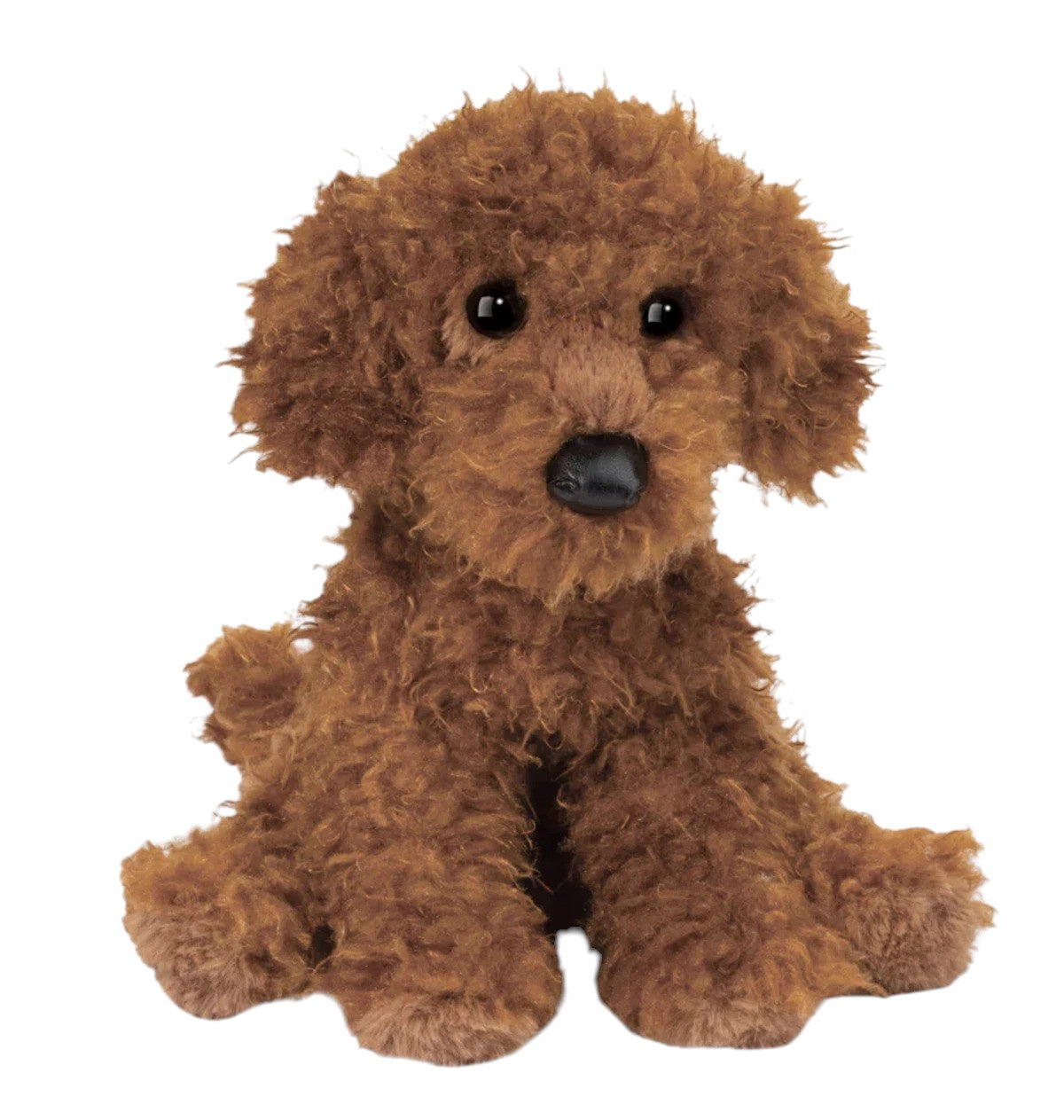 Douglas Ginger Miniature Poodle