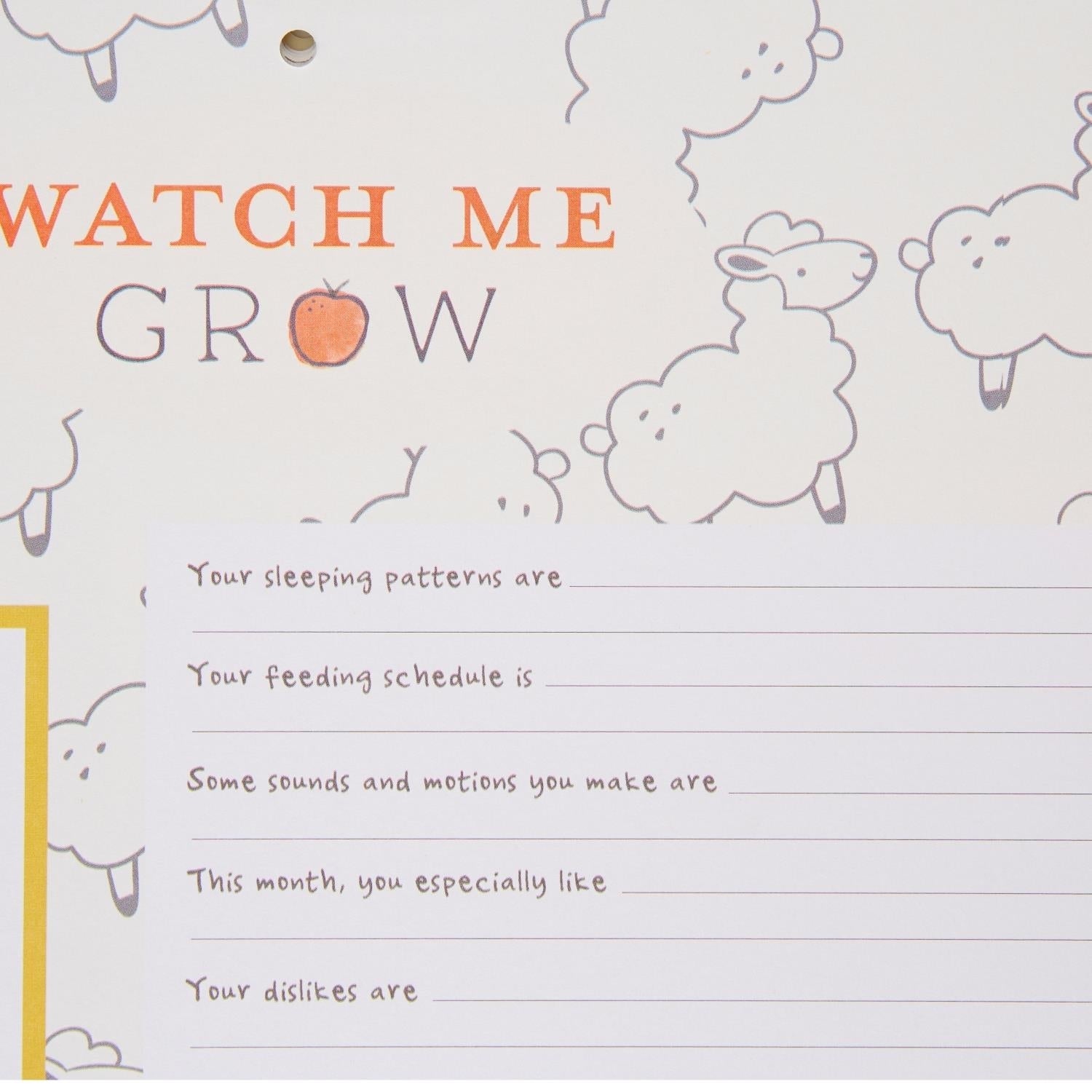 C.R. Homegrown First Year Calendar BA3-24958