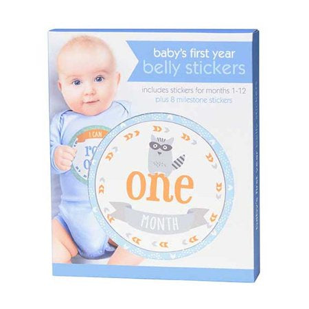 Baby Boy Milestone Month Stickers