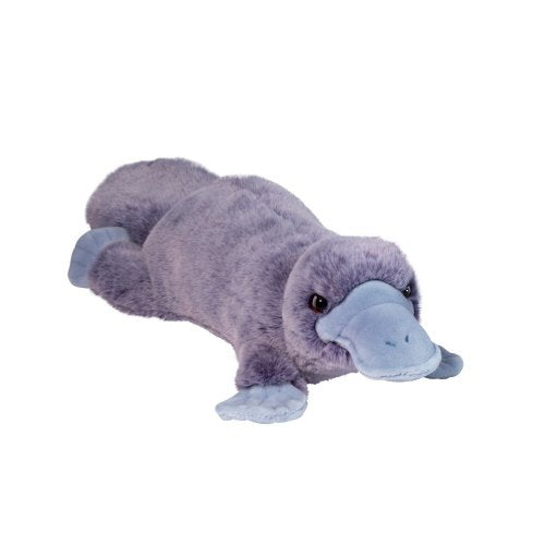 Douglas Softie