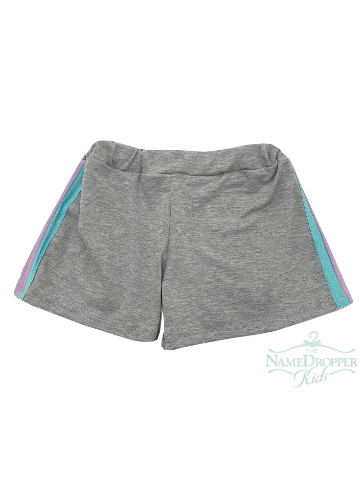 Area Code 407 Dylan Grey French Terry Panel shorts / Lilac Aqua Stripes on Side 40
