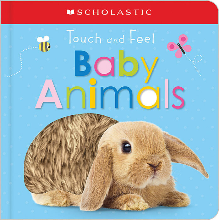 Scholastic Touch and Feel