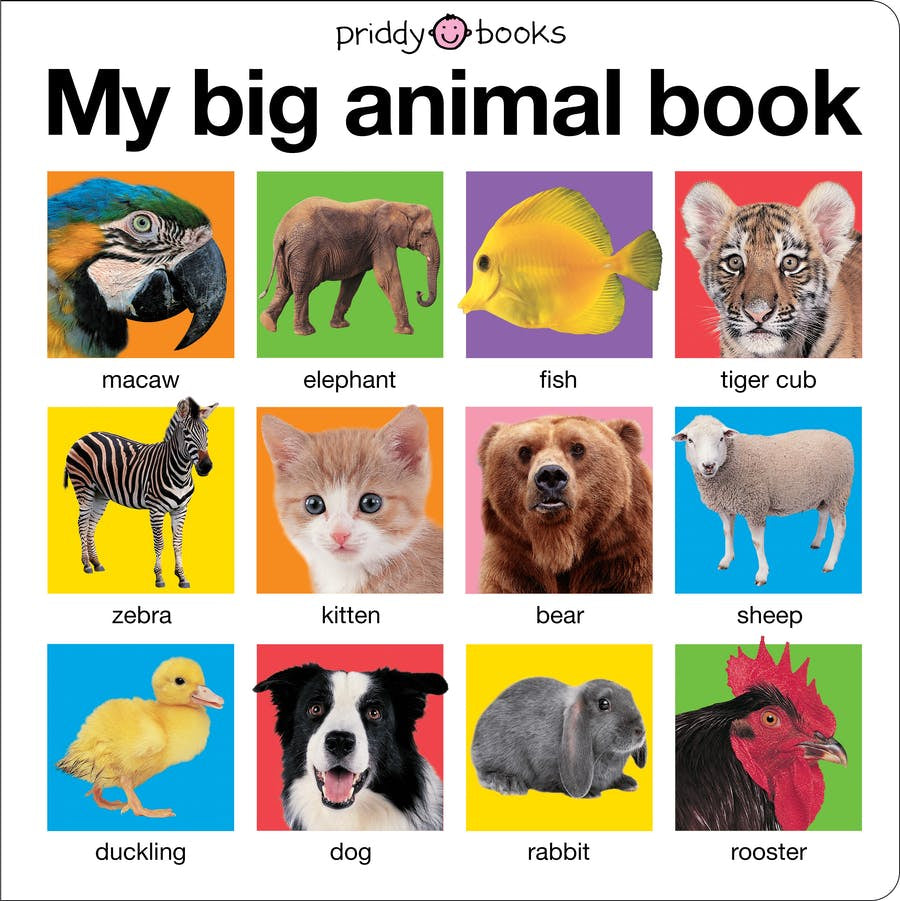 Macmillan My Big Animal Book