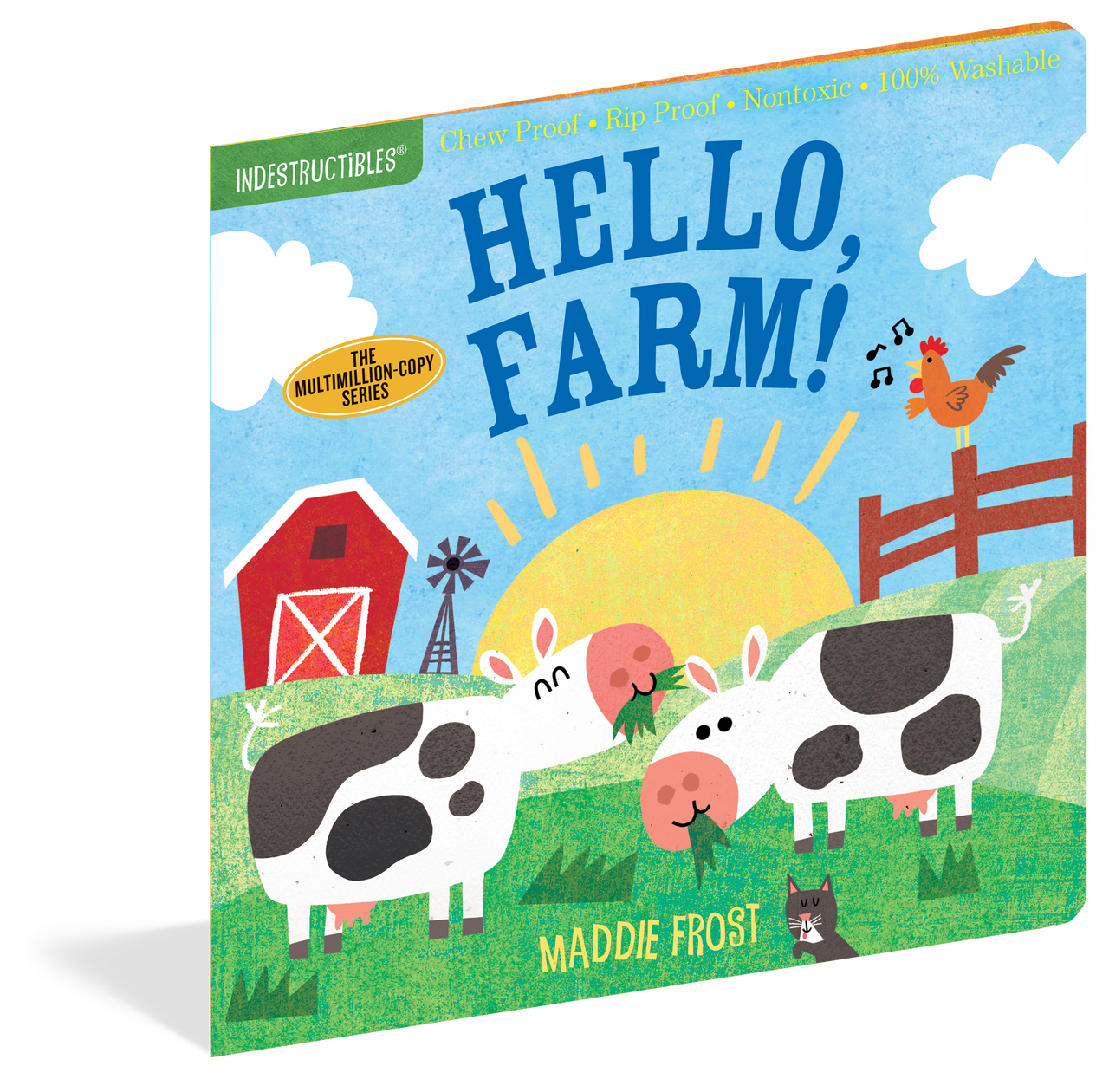 Workman Publishing Indestructibles