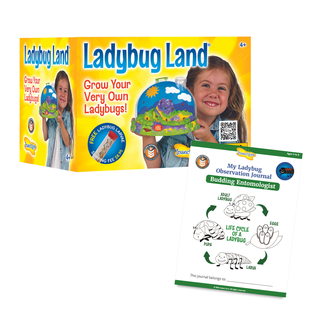 Insect Lore Ladybug Land w/ Voucher