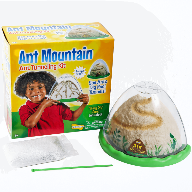 Insect Lore Ant Mountain