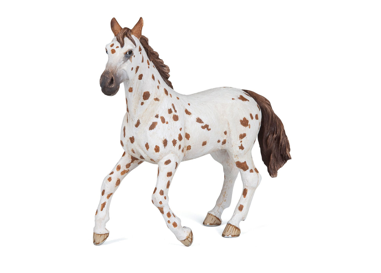Hotaling Papo Brown Appaloosa Mare 51509