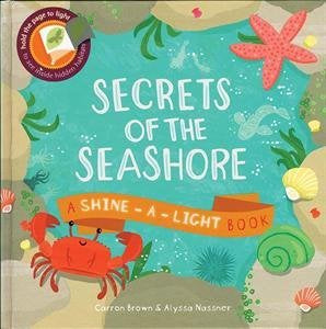 EDC Secrets of the Seashore Shine-a-Light
