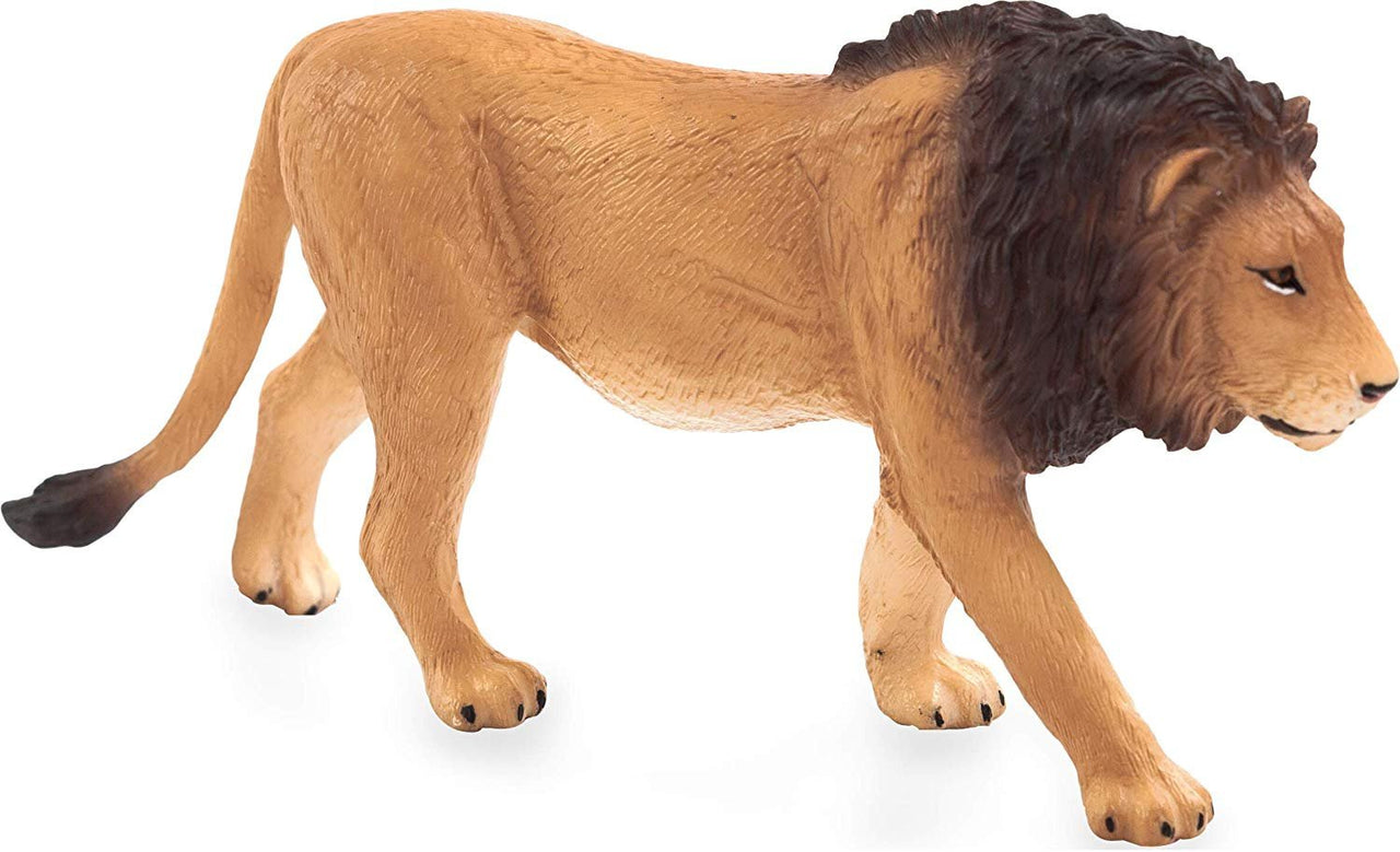 Mojo Male Lion